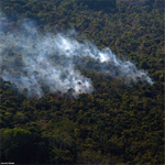 WCS se pronuncia sobre los incendios en los bosques amazónicos