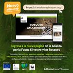 Nuevo sitio web con información clave sobre el combate al tráfico de fauna silvestre y madera en los países andino-amazónicos está disponible para el público