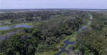 Hidrovía Amazónica: una discusión sobre el proyecto