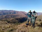 Se inició el estudio de ocupación de oso de anteojos en la zona andina del Parque Nacional del Manu